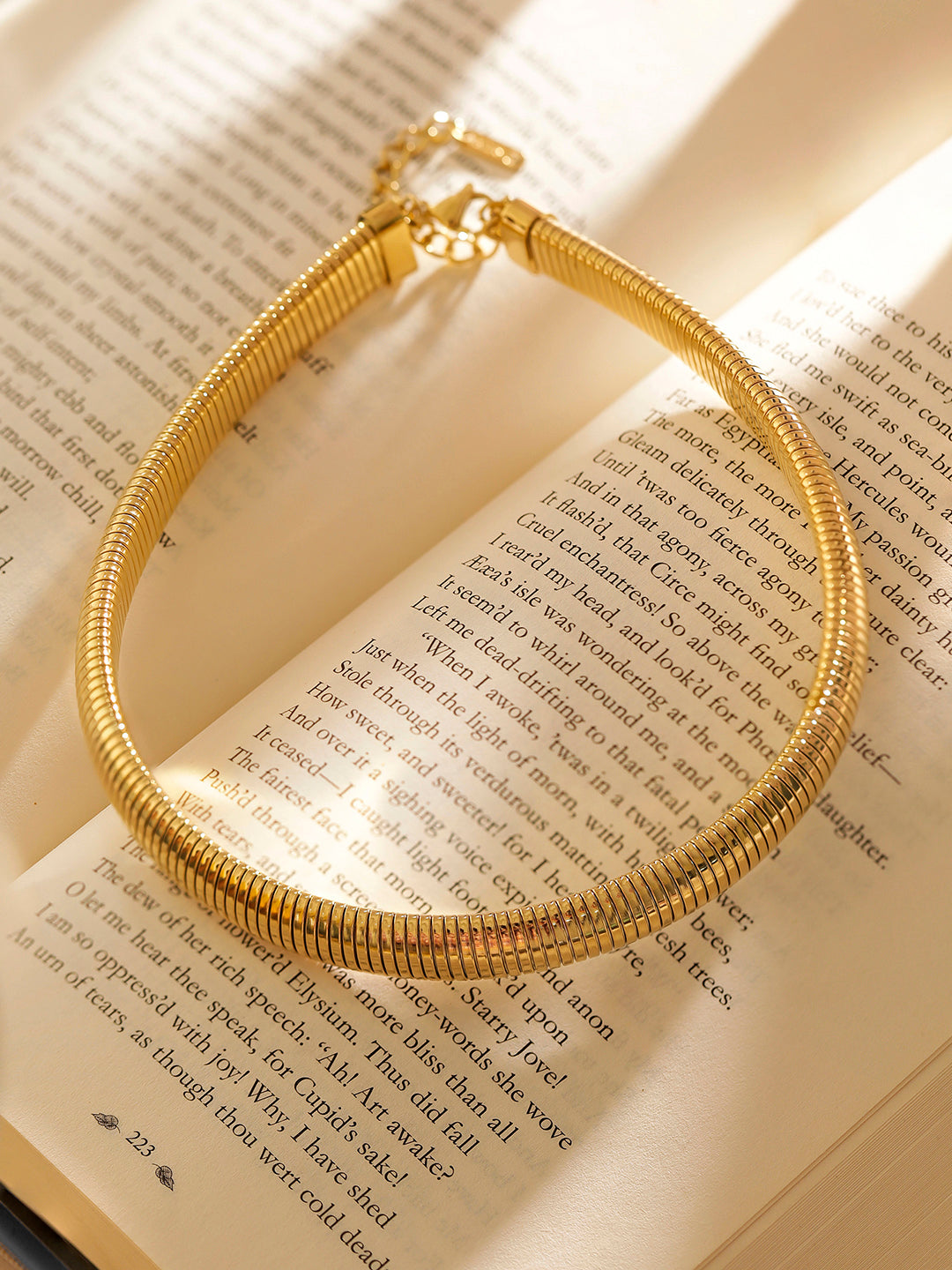 Gold Plated Fashionary Elegant Choker Necklace