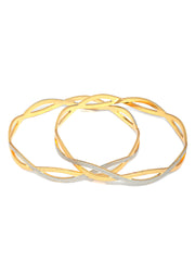 Dual Toned Wavy Patterned Set of 2 Bangles